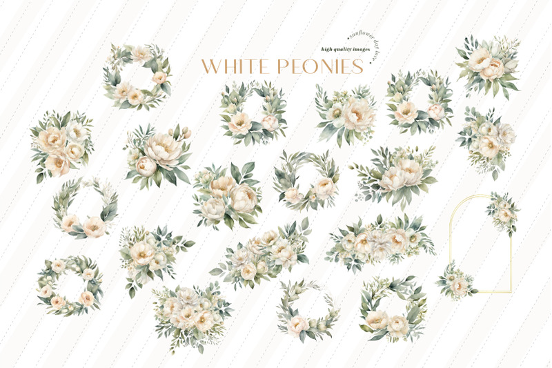 elegant-white-peonies-flowers-bouquets-clipart