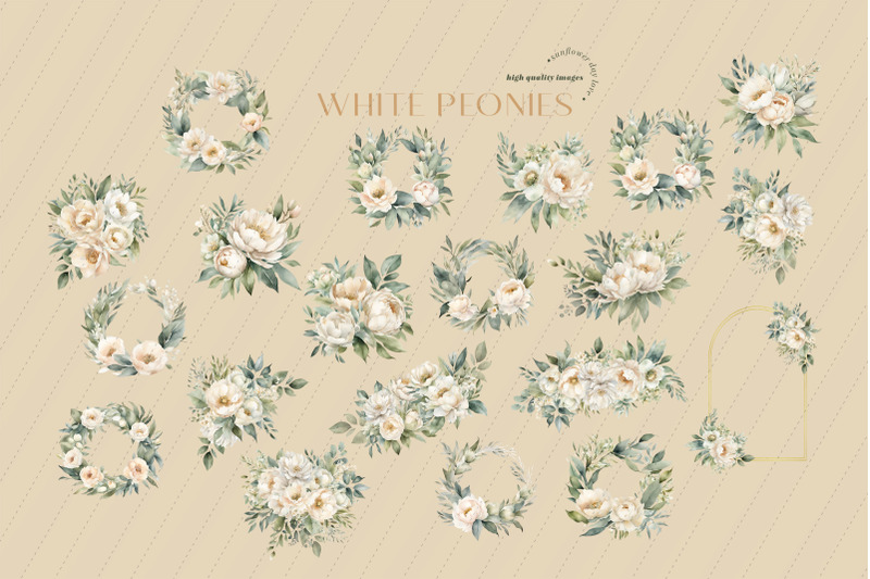 elegant-white-peonies-flowers-bouquets-clipart