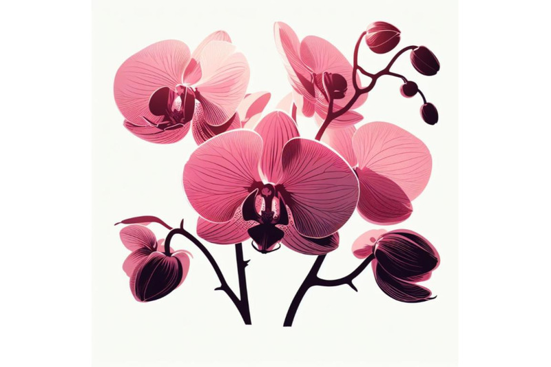 4-pink-orchid-pink-flowers-orchid-on-a-white-background