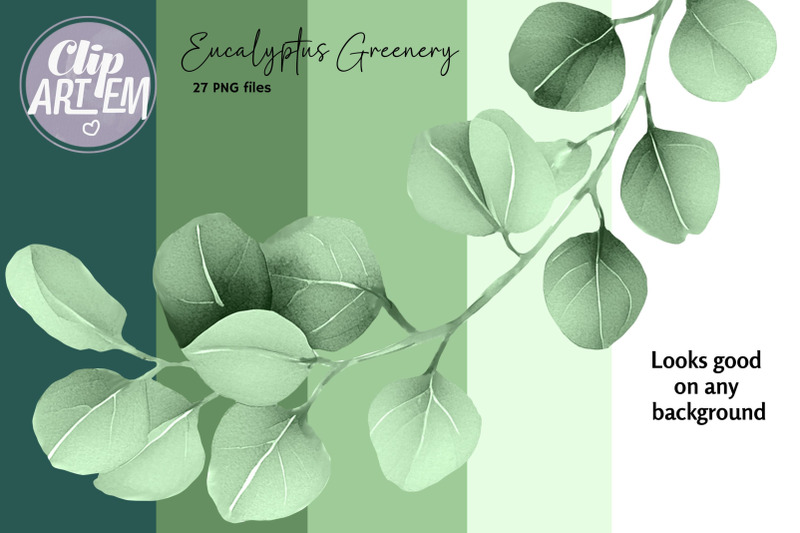 eucalyptus-greenery-clip-art-sage-leaves-27-png-images-set