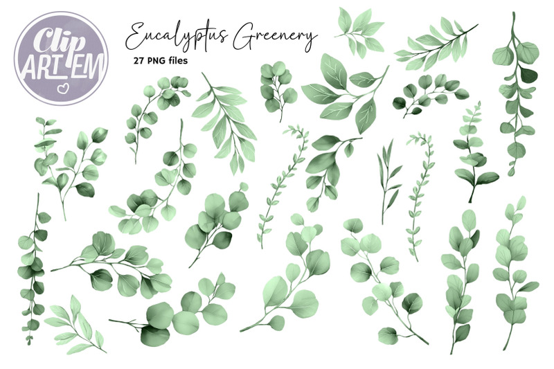 eucalyptus-greenery-clip-art-sage-leaves-27-png-images-set