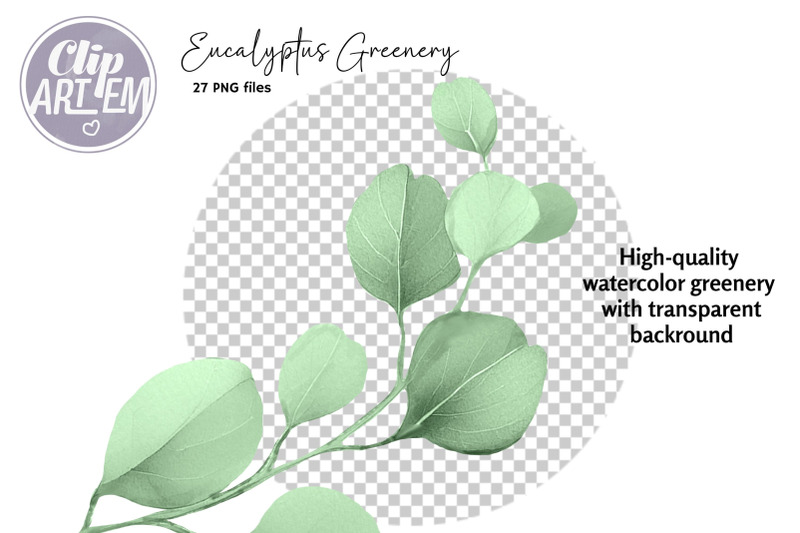 eucalyptus-greenery-clip-art-sage-leaves-27-png-images-set