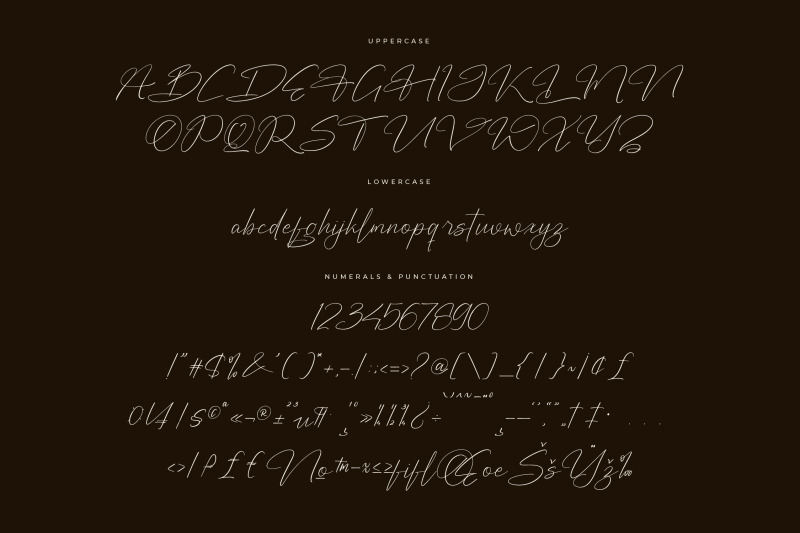 bagtishin-modern-signature-font