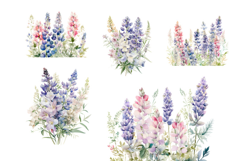 lupine-flowers