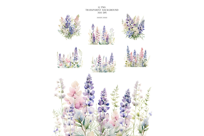 lupine-flowers