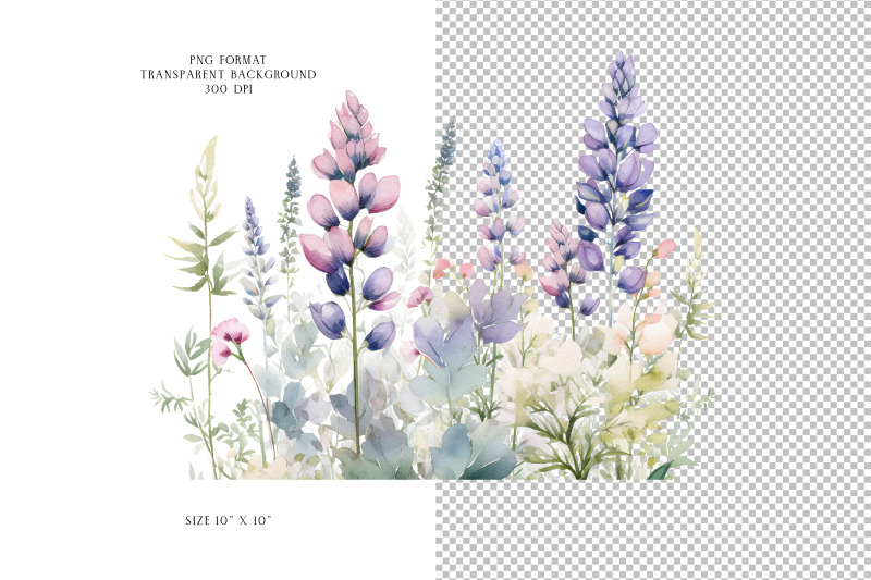 lupine-flowers