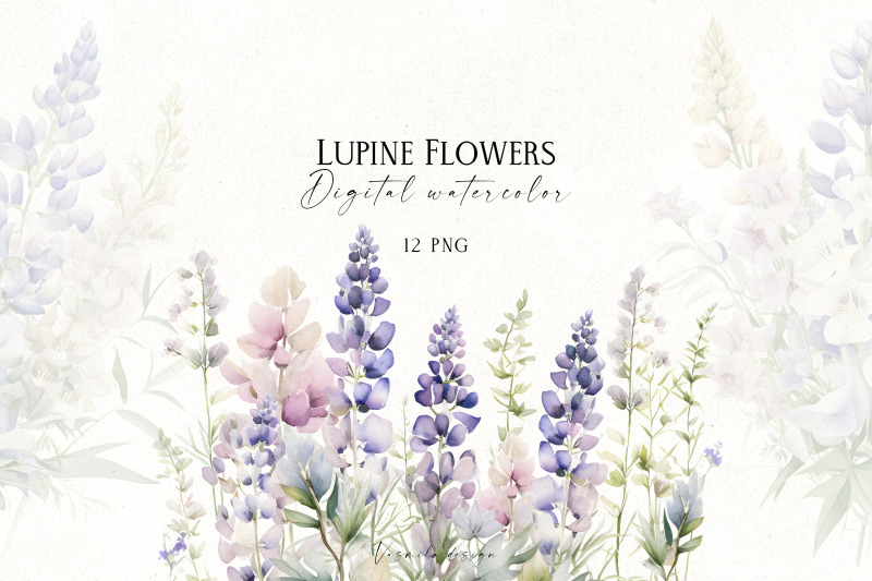 lupine-flowers