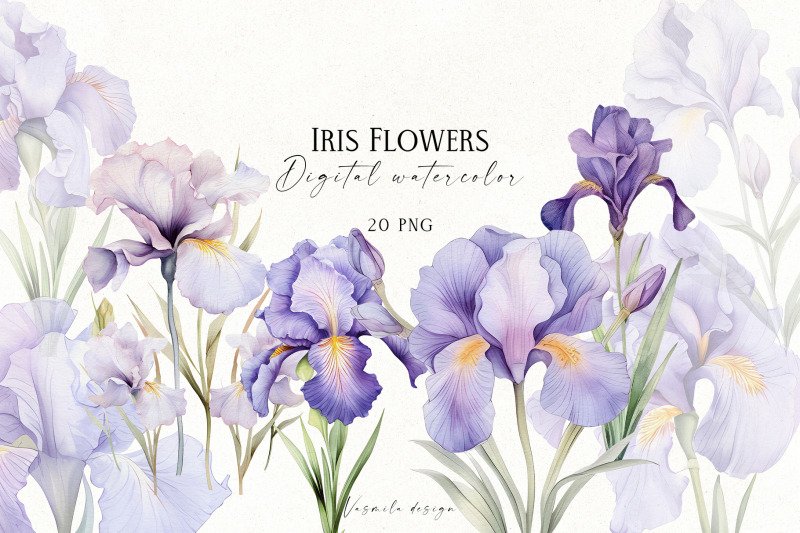 iris-flowers