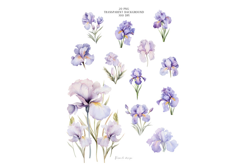 iris-flowers