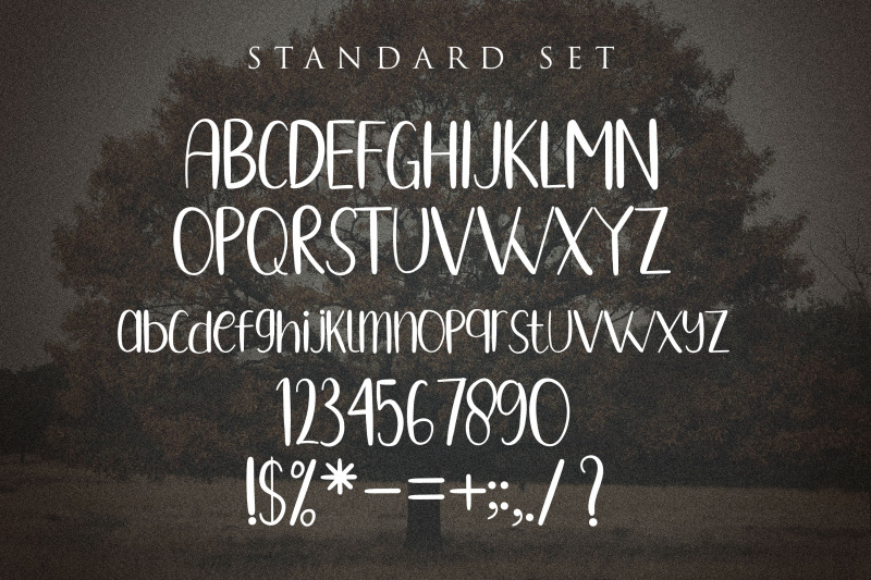 oakstree-casual-brush-display-font