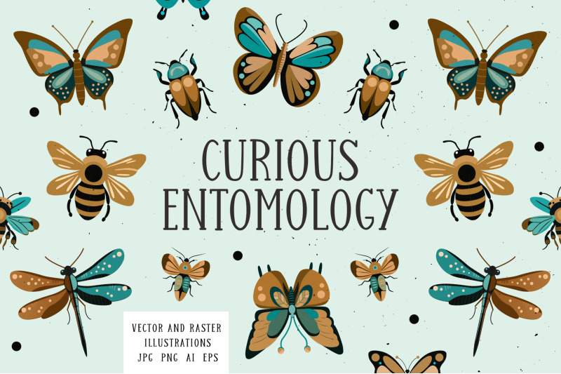 curious-entomology-collection