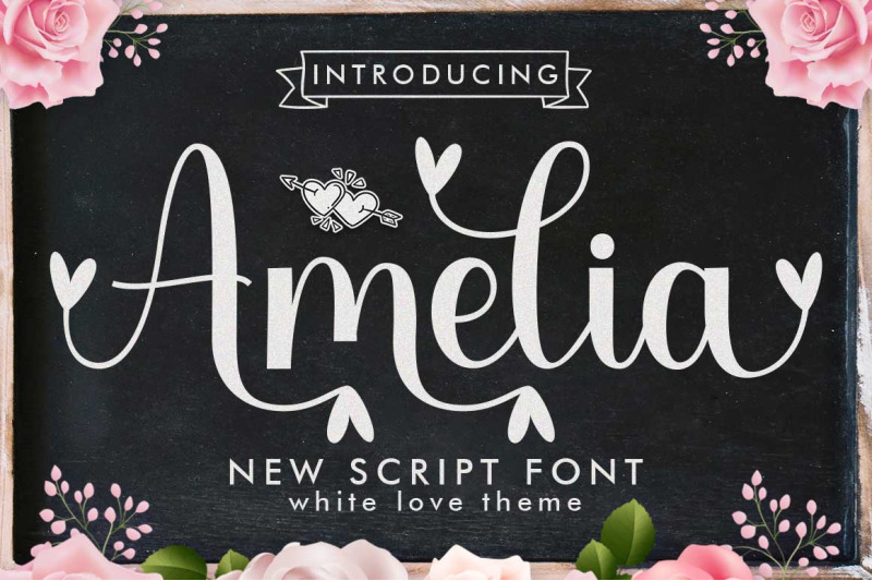 modern-font-bndle