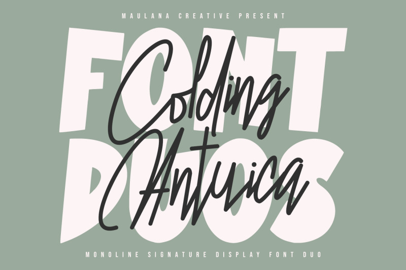 colding-antuica-font-duo