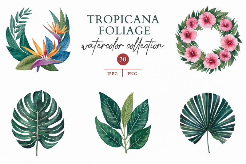 tropicana-foliage