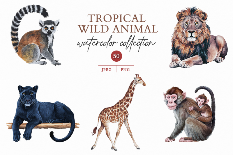 tropical-wild-animal