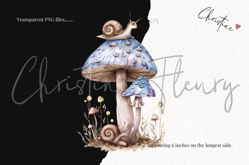 dreamy-mushrooms-amp-snails-clipart