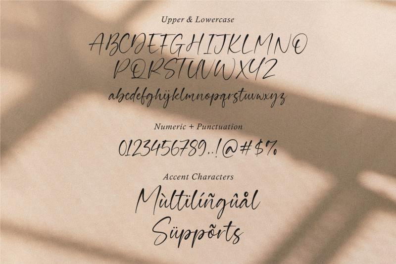 guardian-a-modern-calligraphy-script-font