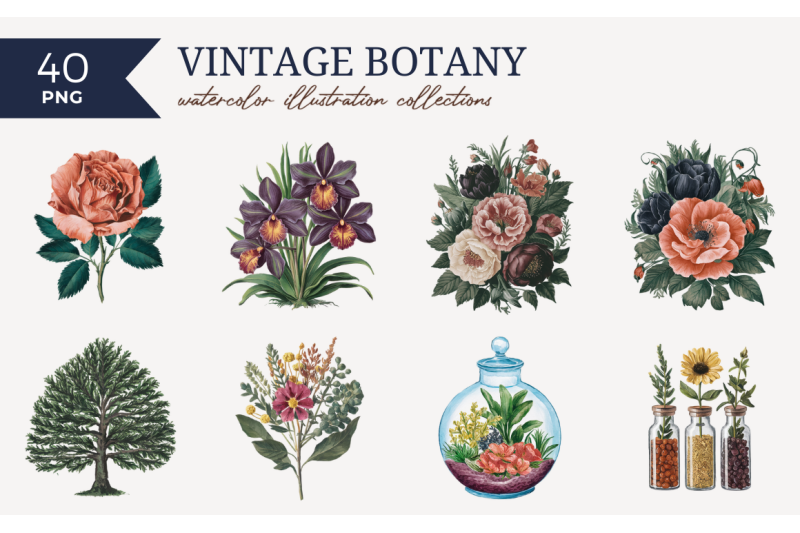 vintage-botany