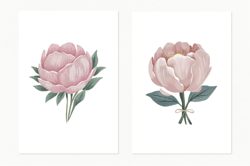 blushing-peonies