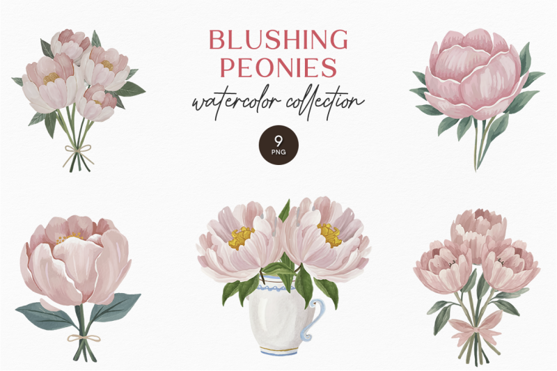 blushing-peonies