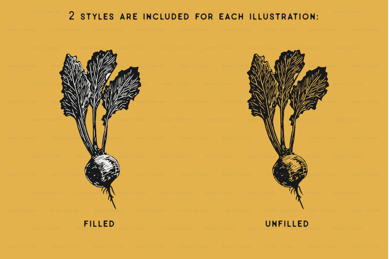 fruit-and-vegetable-illustrations