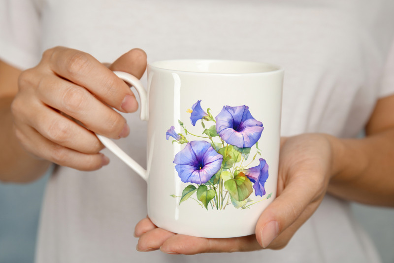 morning-glory-flowers