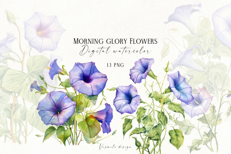 morning-glory-flowers