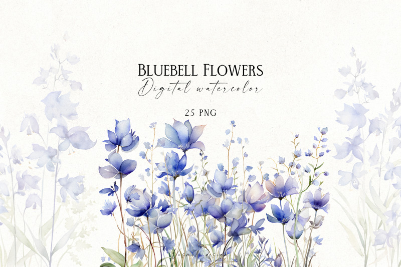 bluebell-flowers