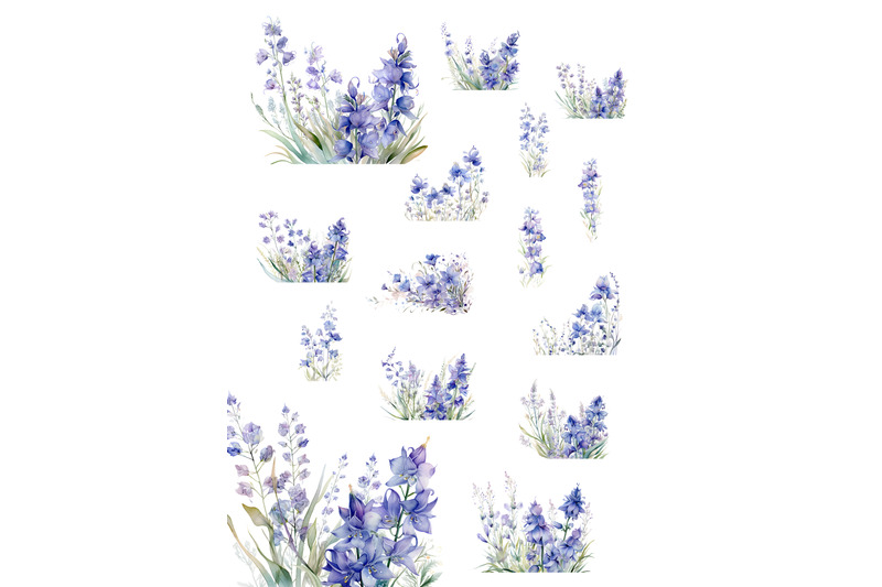 bluebell-flowers