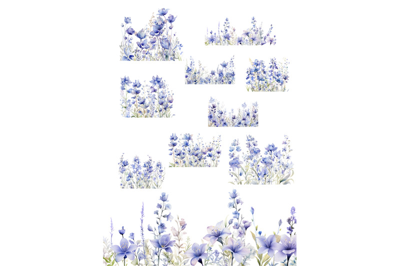 bluebell-flowers