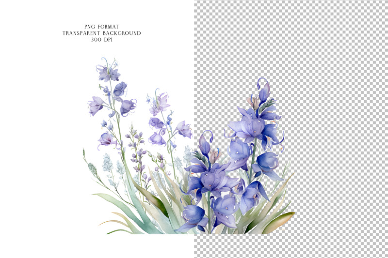 bluebell-flowers