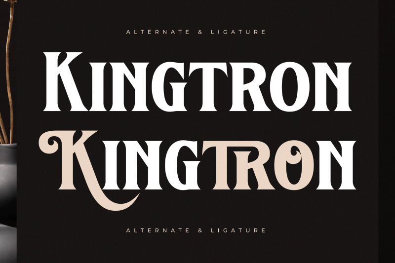 kingtron-modern-serif-display