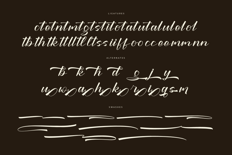 racheli-claudia-modern-bold-script-font