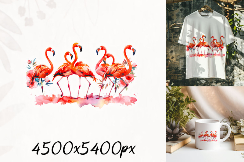 flamingo-flock-by-water