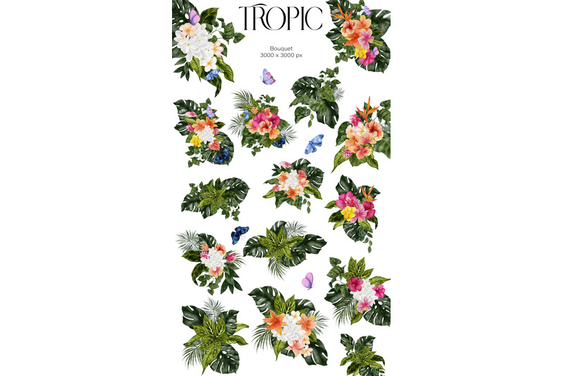 tropic-watercolor-hand-draw-graphic