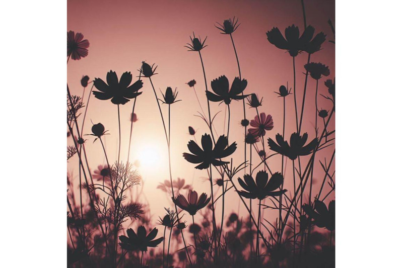 a-bundle-of-flowers-in-simple-background