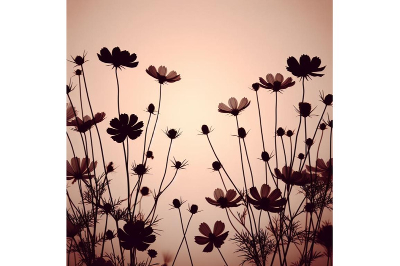 a-bundle-of-flowers-in-simple-background