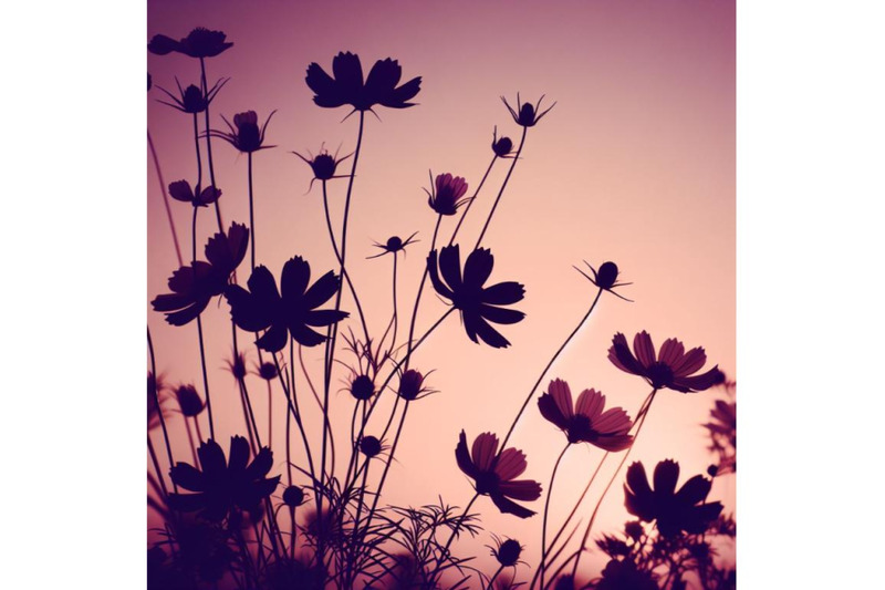 a-bundle-of-flowers-in-simple-background