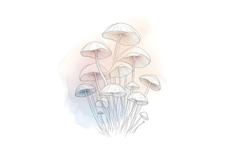 a-set-of-mushrooms