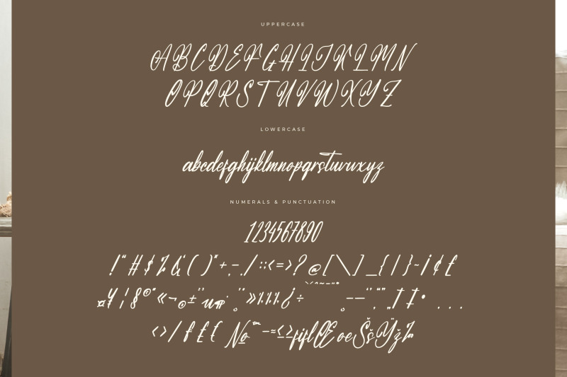 molastica-modern-handbrush-script