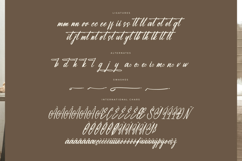 molastica-modern-handbrush-script