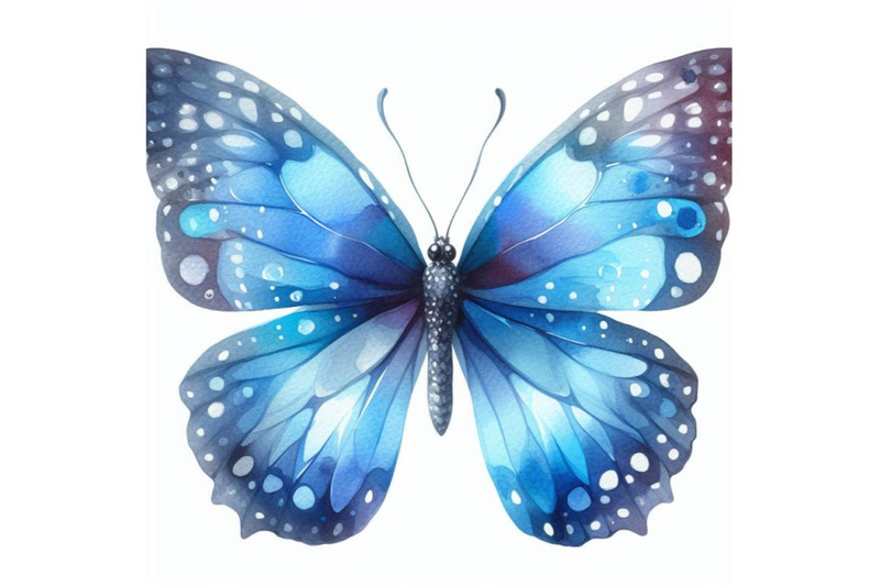 bundle-of-blue-butterfly-on-a-white-background