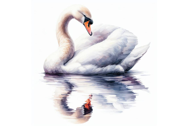 bundle-of-swan-reflections-a-swan