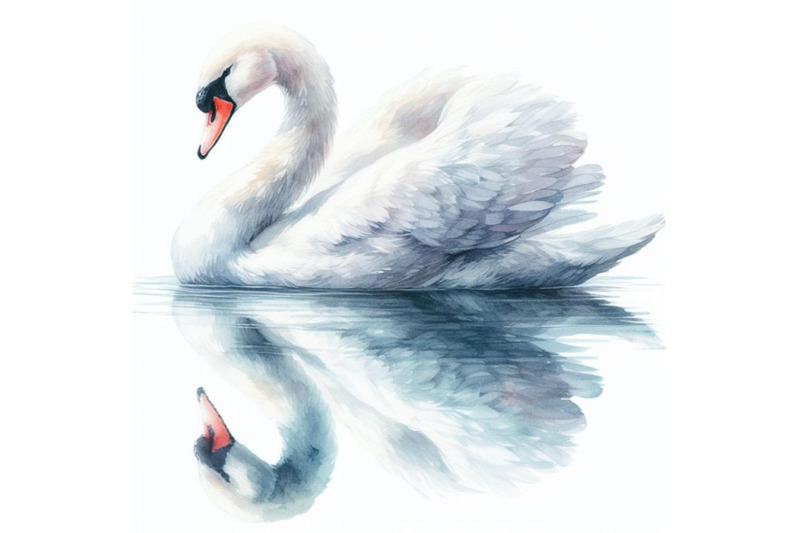 bundle-of-swan-reflections-a-swan