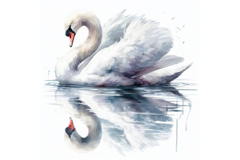 bundle-of-swan-reflections-a-swan