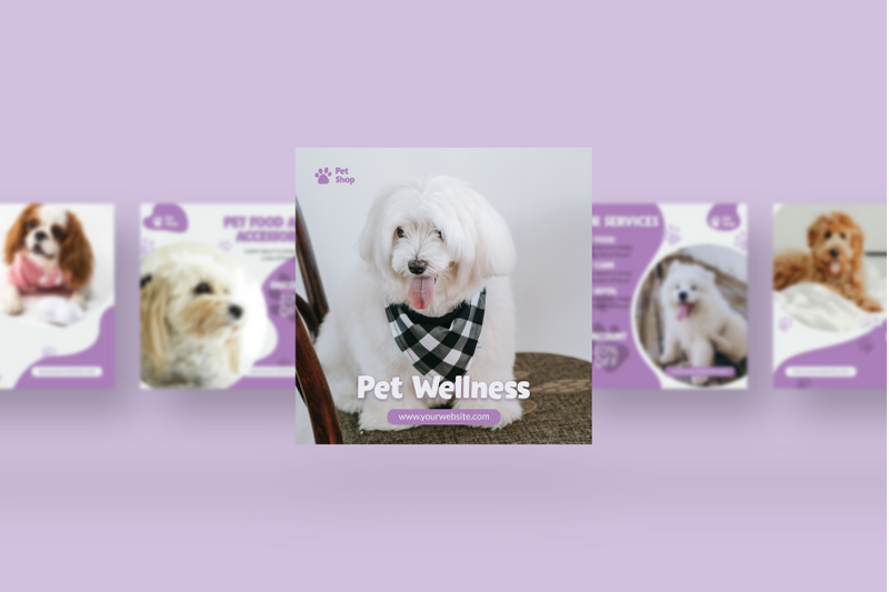 petshop-instagram-post-template