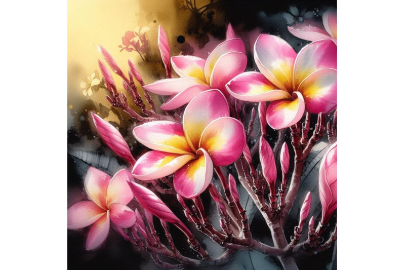 bundle-of-pink-plumeria-flower-in-garden