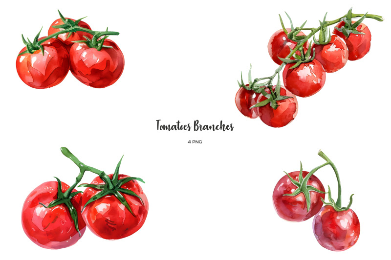 watercolor-tomato-clipart-fresh-red-yellow-black-green-tomato-set