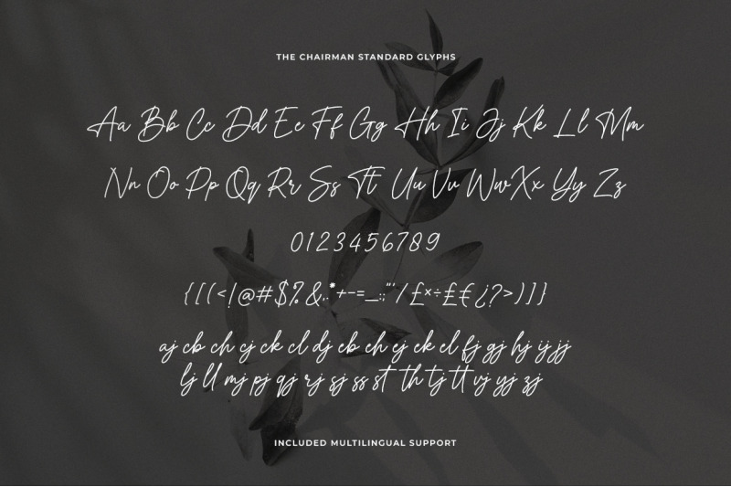 the-chairman-signature-font