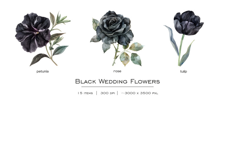 watercolor-black-wedding-flowers-clipart-pastel-black-flower-clip-art-dark-color-plants-collection-dark-and-black-floral-wedding-watercolor-set